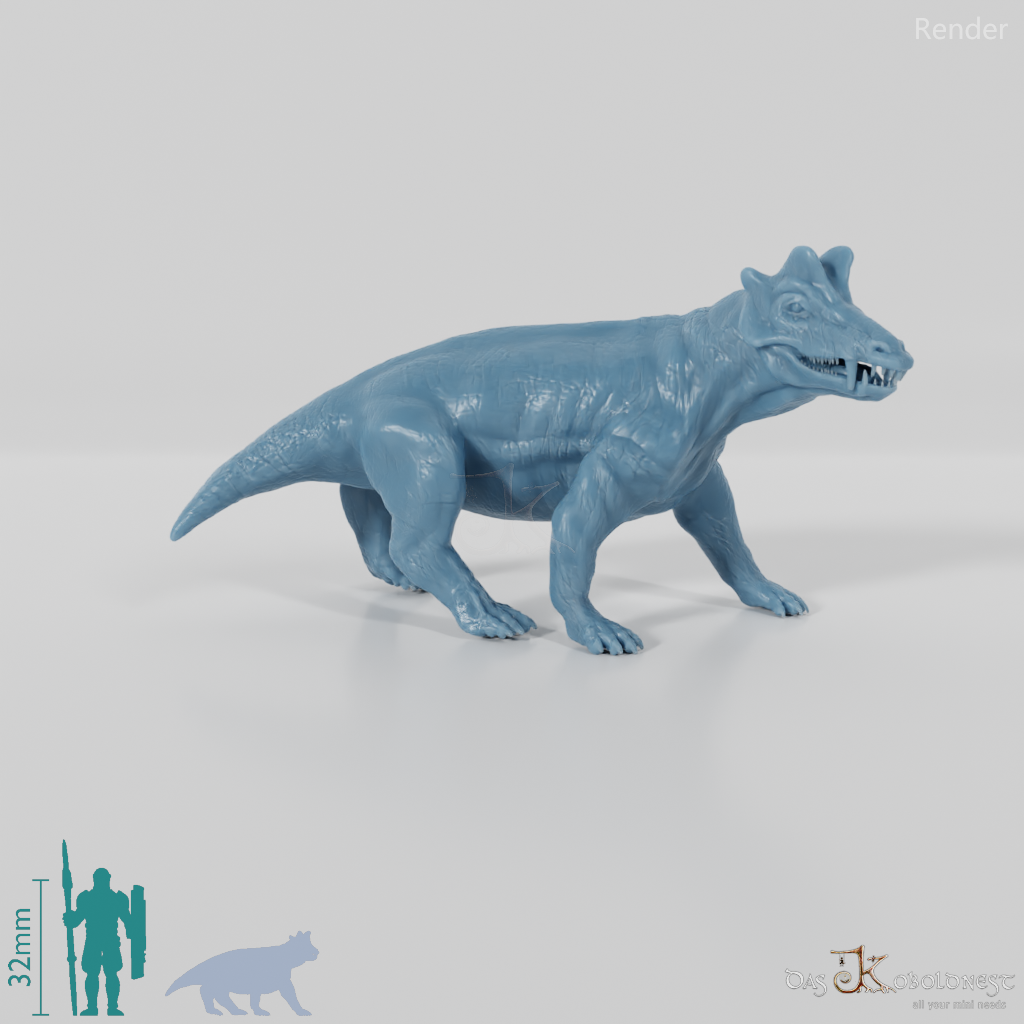 Styracocephalus platyrhynchus 01 - JJP