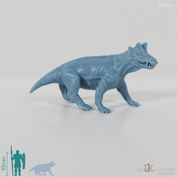 Styracocephalus platyrhynchus 01 - JJP