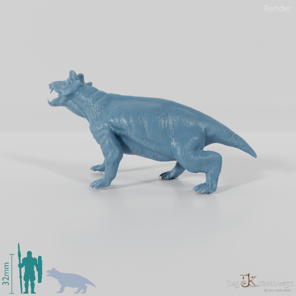 Styracocephalus platyrhynchus 02 - JJP