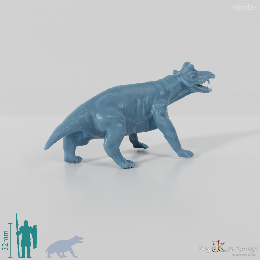 Styracocephalus platyrhynchus 02 - JJP