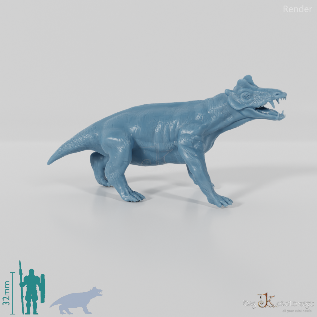 Styracocephalus platyrhynchus 02 - JJP