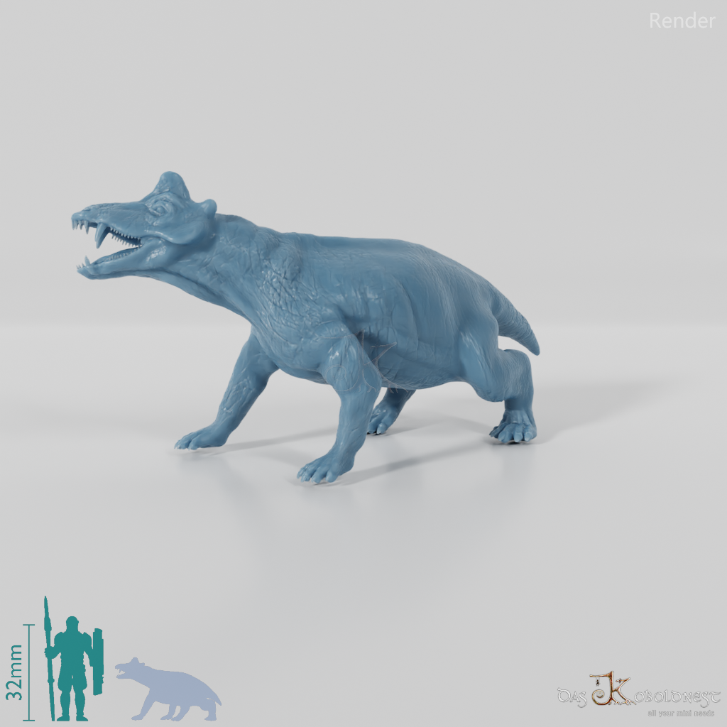 Styracocephalus platyrhynchus 02 - JJP