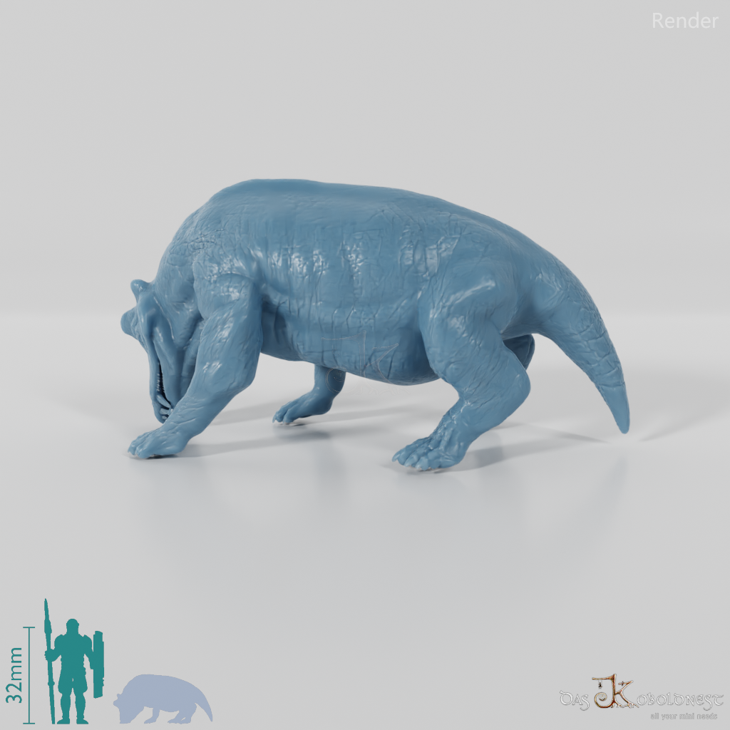 Styracocephalus platyrhynchus 03 - JJP