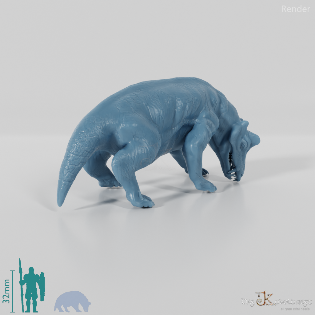 Styracocephalus platyrhynchus 03 - JJP