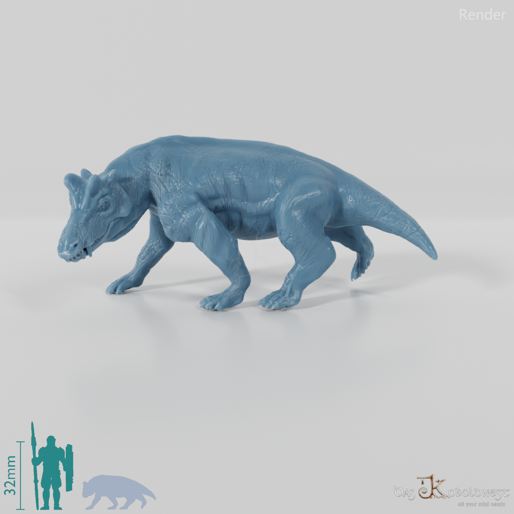 Styracocephalus platyrhynchus 04 - JJP