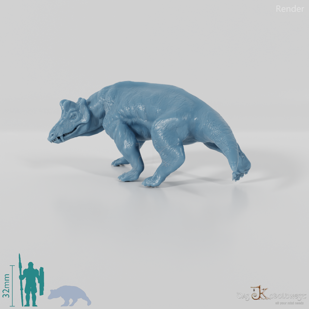 Styracocephalus platyrhynchus 04 - JJP