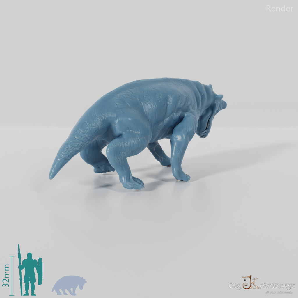 Styracocephalus platyrhynchus 05 - JJP