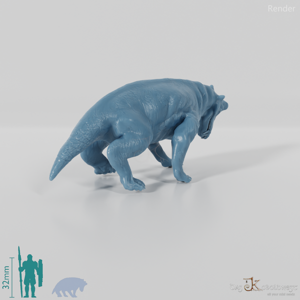 Styracocephalus platyrhynchus 05 - JJP