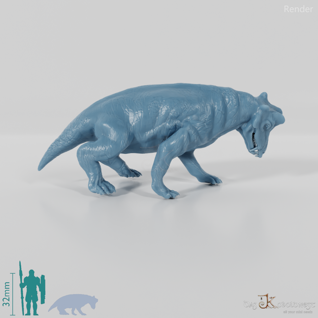 Styracocephalus platyrhynchus 05 - JJP