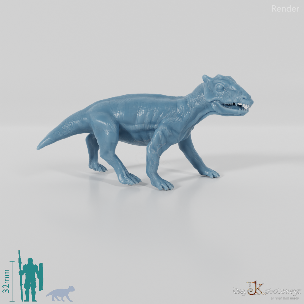 Styracocephalus platyrhynchus 07 (Jungtier) - JJP