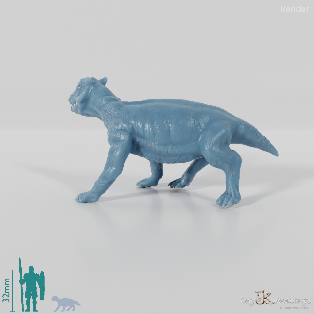 Styracocephalus platyrhynchus 07 (Jungtier) - JJP