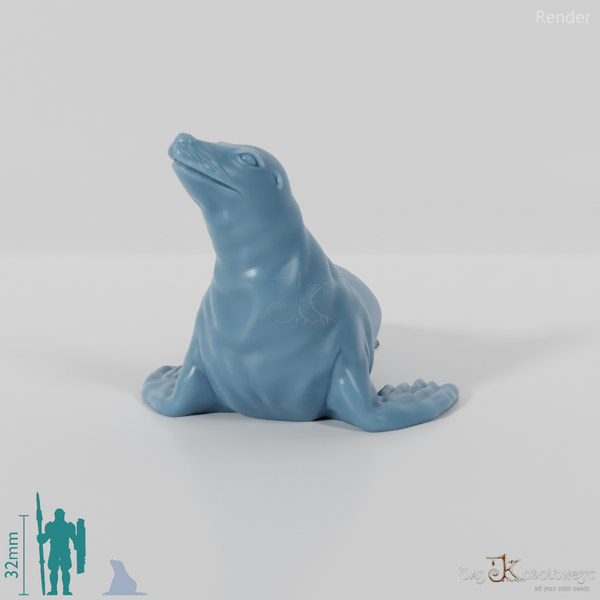 Robbe - Robbender Seelöwe