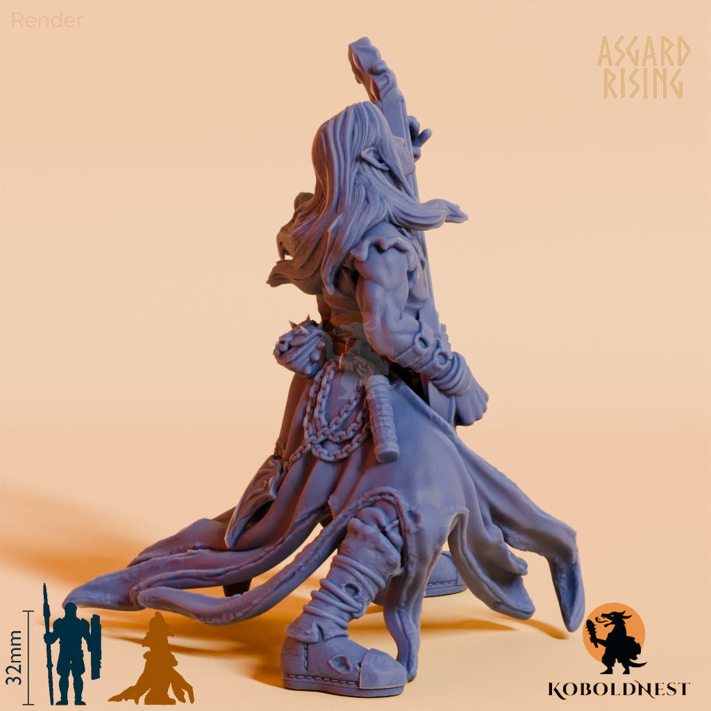 Schattenelf-Barde