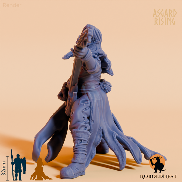 Schattenelf-Barde