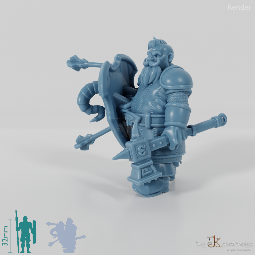 Dwarf Shield Fighter 01