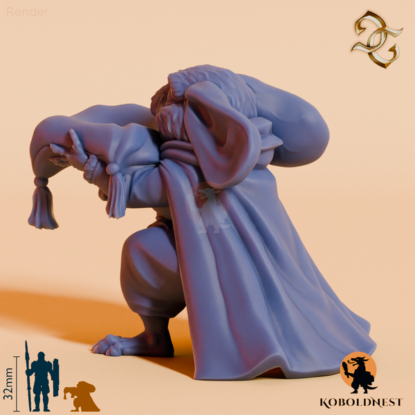 Sir-Cheeselot-Mousefolk-Knight_render_80pitch_240deg.png