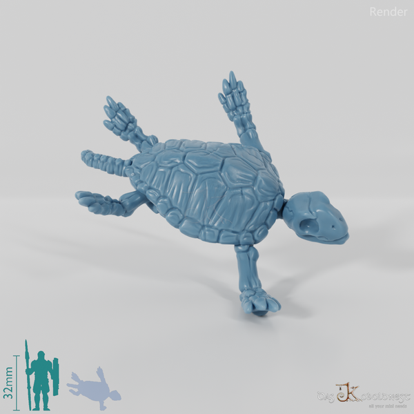 Schildkröte - Skelett-Meeresschildkröte 02