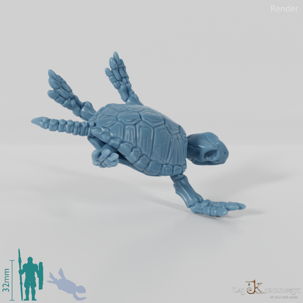 Schildkröte - Skelett-Meeresschildkröte 02