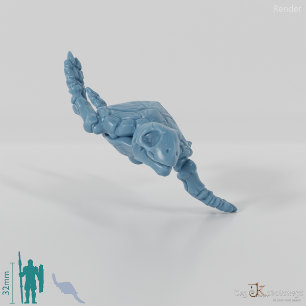 Schildkröte - Skelett-Meeresschildkröte 01