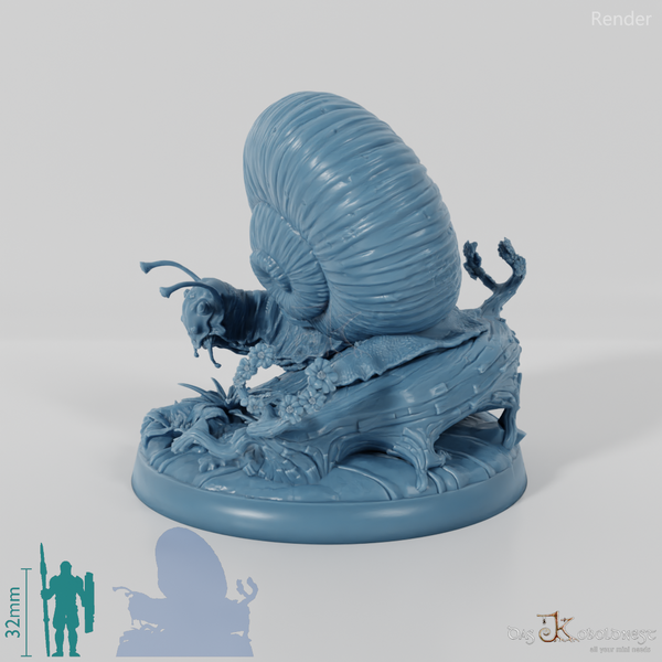 Schnecke - Riesenschnecke 03