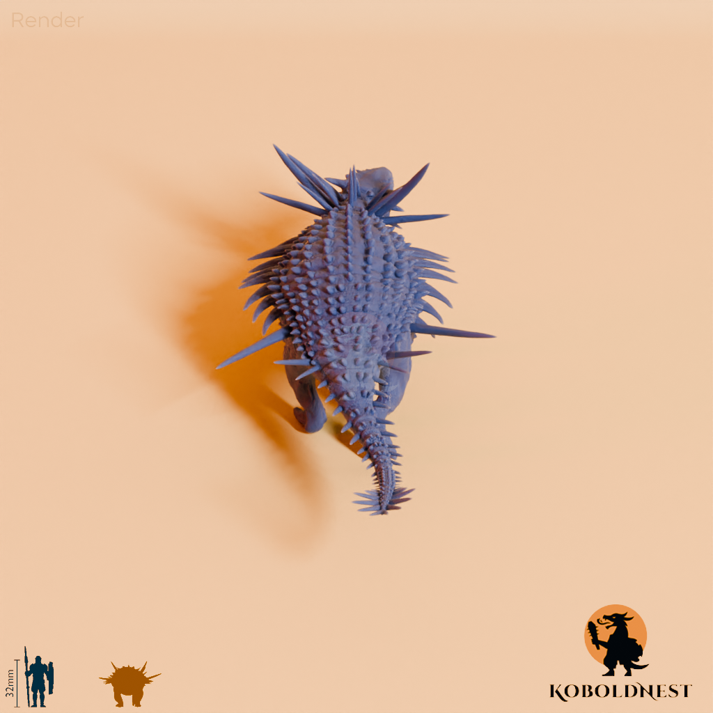 Spicomellus afer 05