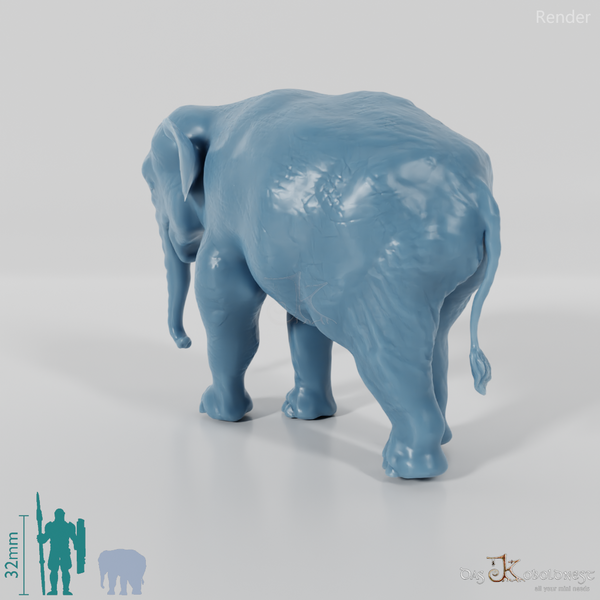 Notiomastodon platensis 04 (Jungtier) - JJP