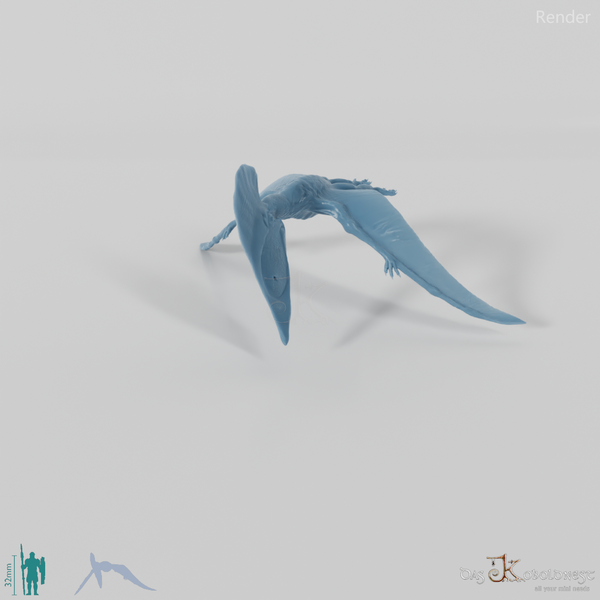 Tupuxuara longicristatus 02 - JJP