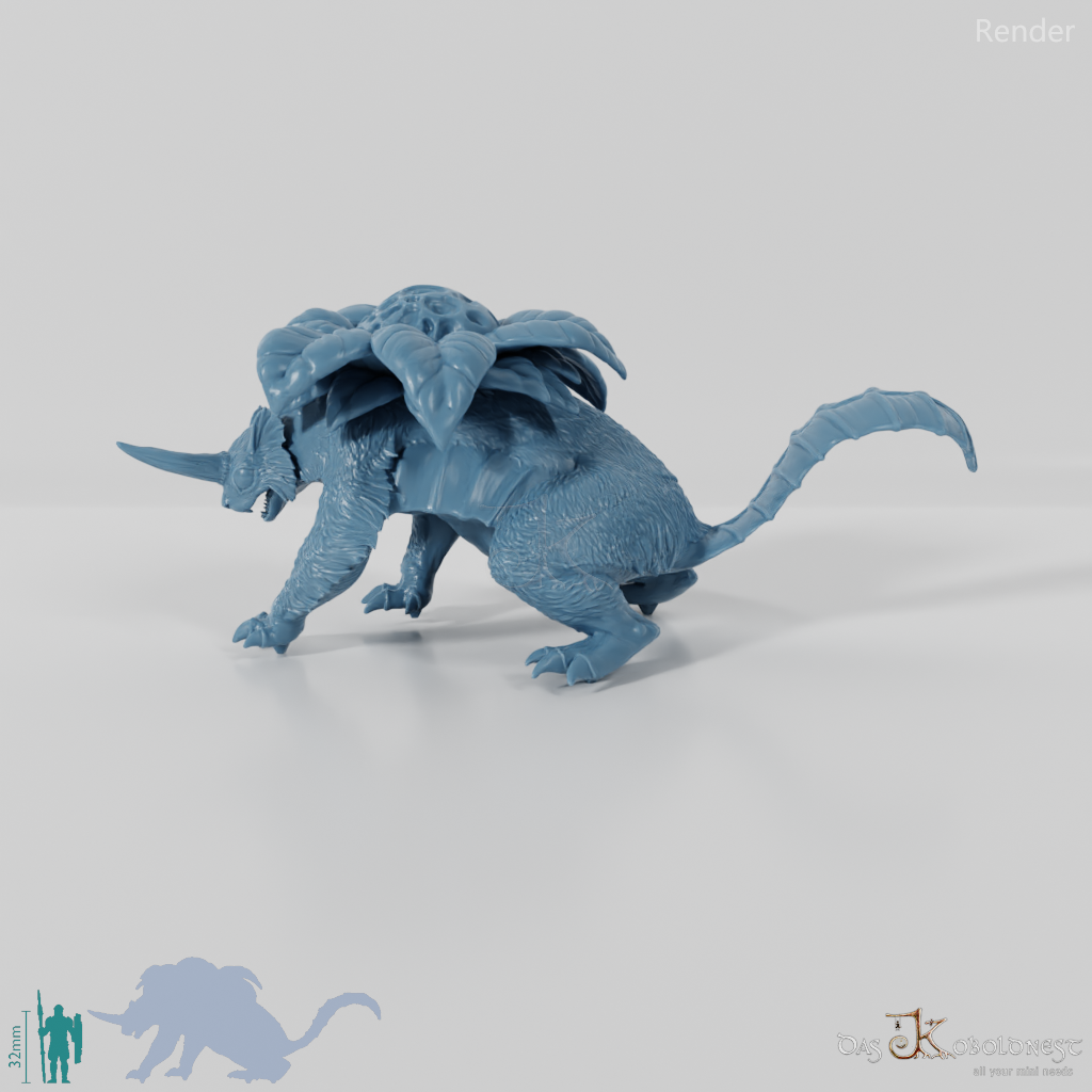 Blütendachs 02