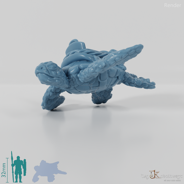 Schildkröte - Gesattelte Meeresschildkröte