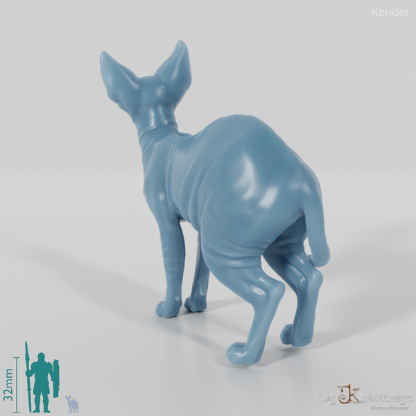 Katze - Ursula, stehende Sphynx