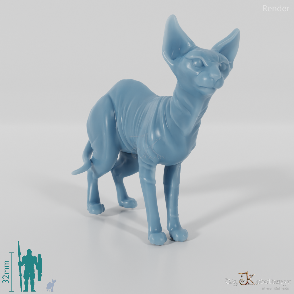 Katze - Ursula, stehende Sphynx