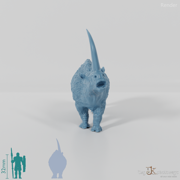 Coelodonta antiquitatis 04 - JJP