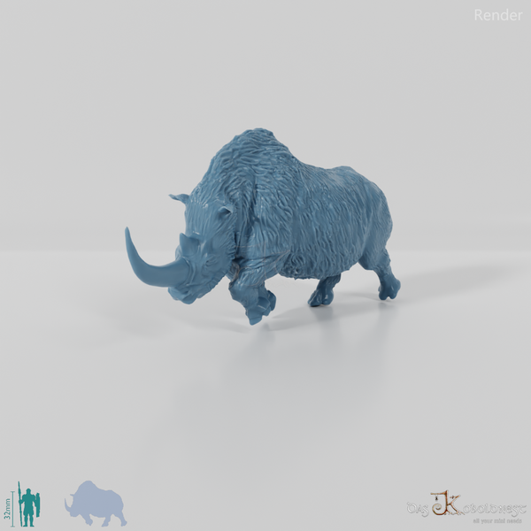 Coelodonta antiquitatis 05 - JJP