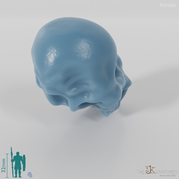 Schädel - Riesenfledermaus-Schädel