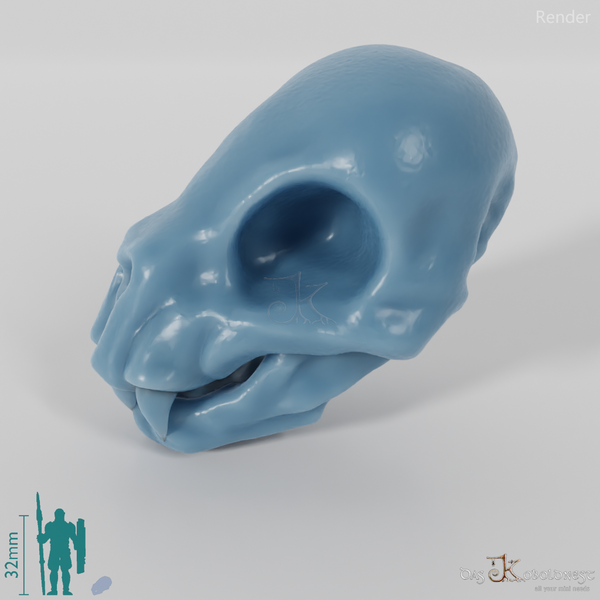 Schädel - Riesenfledermaus-Schädel