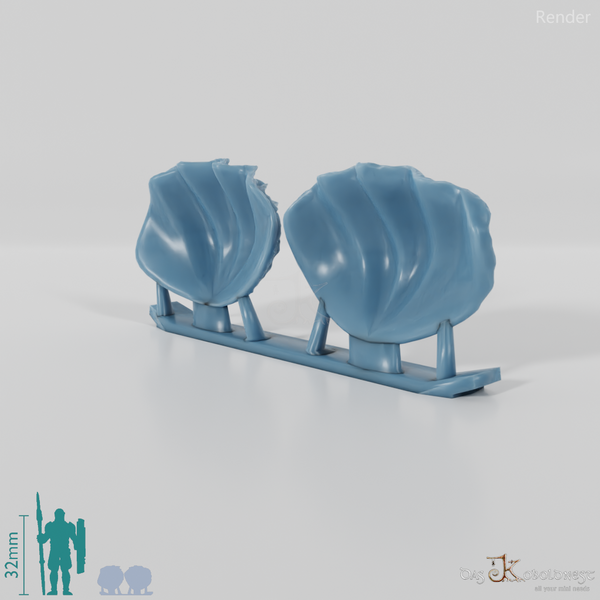 Muschel - Leere Muschelhälften