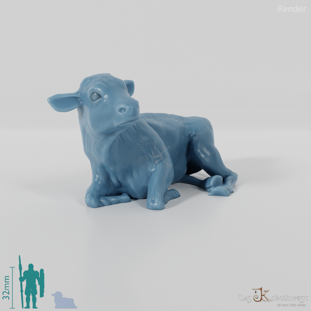 Rind - Liegendes Kalb