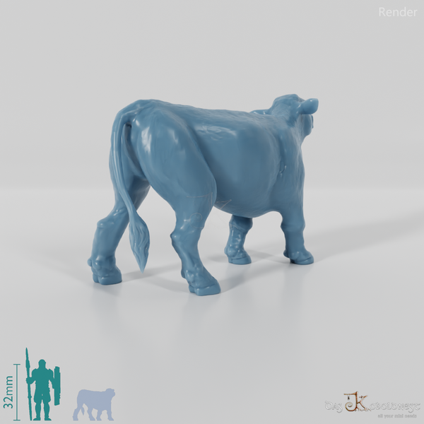 Rind - Neugieriges Kalb