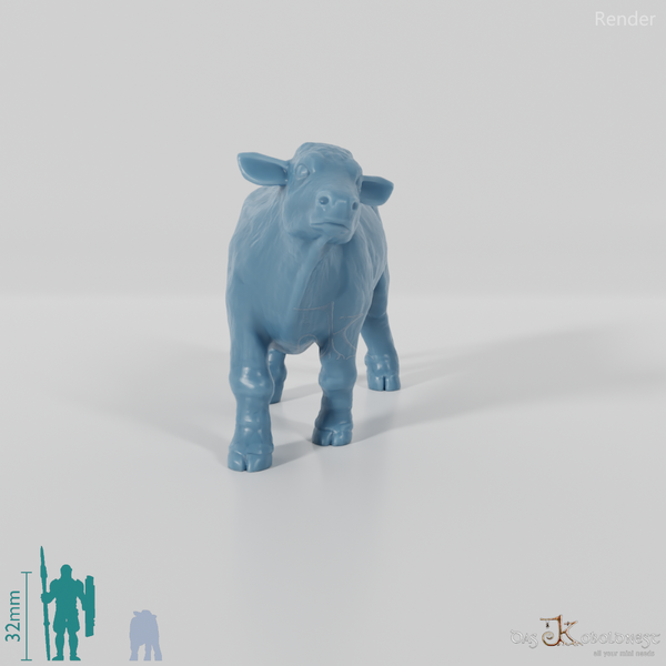 Rind - Neugieriges Kalb