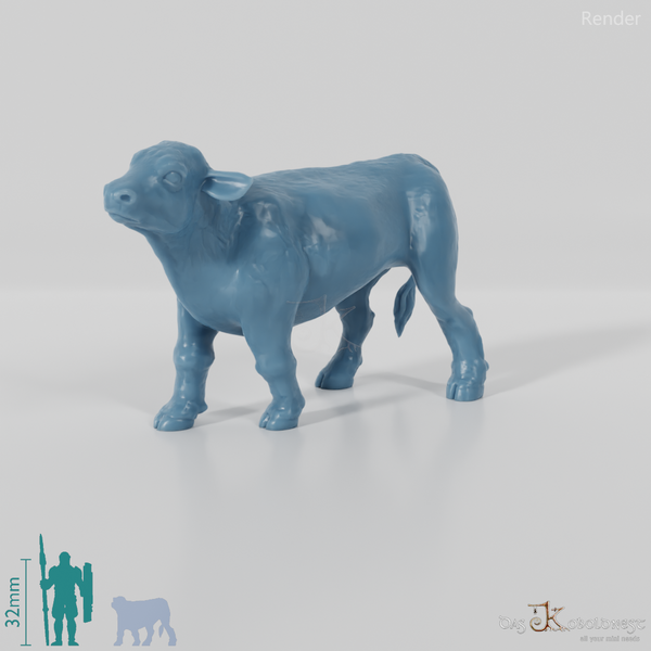 Rind - Neugieriges Kalb