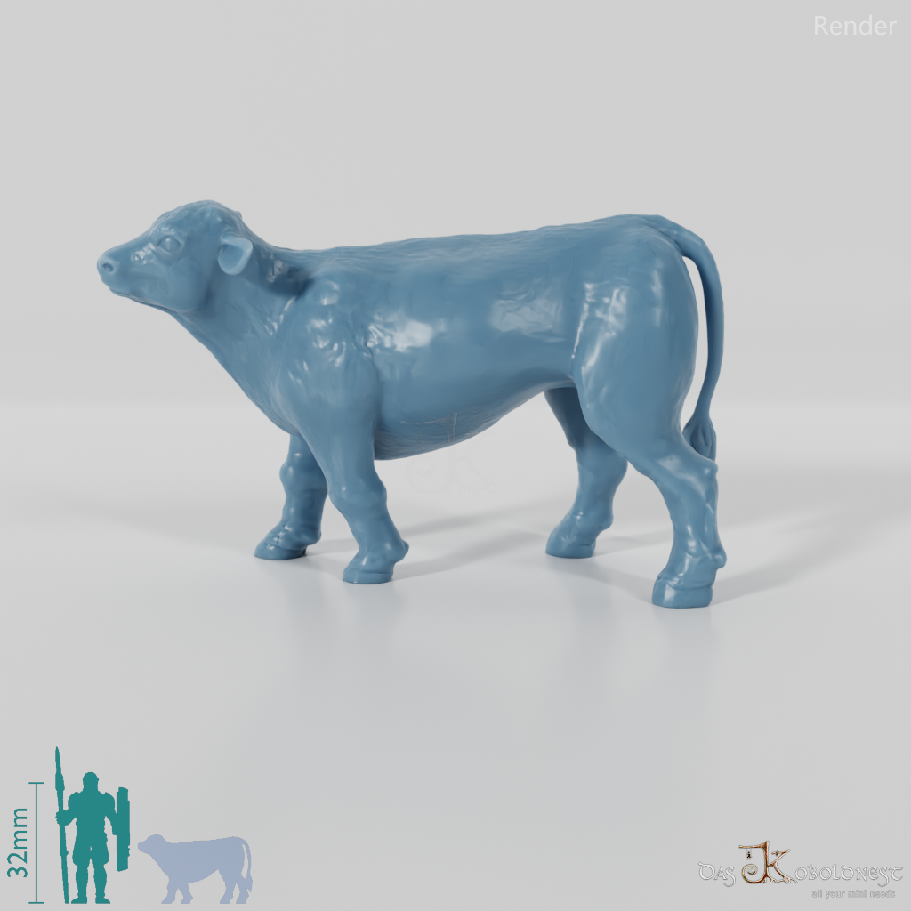 Rind - Neugieriges Kalb
