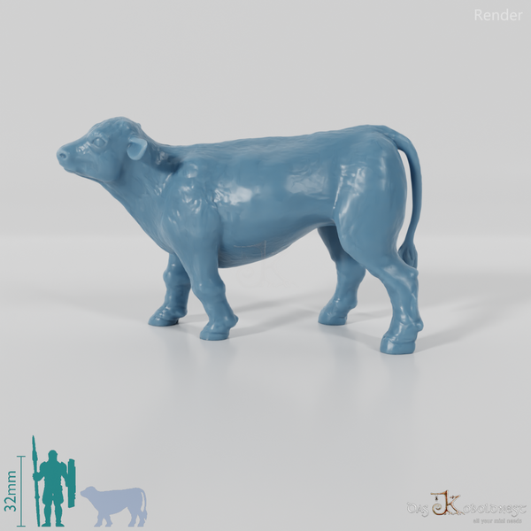 Rind - Neugieriges Kalb