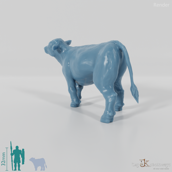 Rind - Neugieriges Kalb