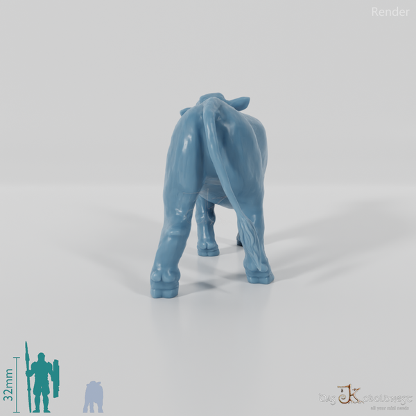 Rind - Neugieriges Kalb