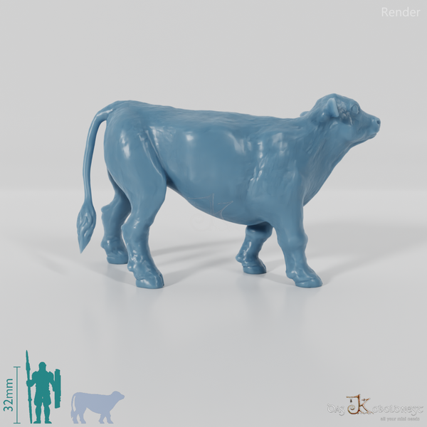 Rind - Neugieriges Kalb