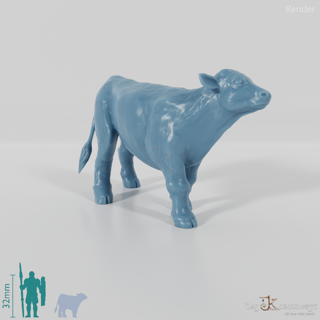 Rind - Neugieriges Kalb