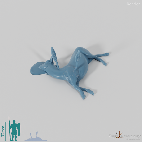 Jagdbeute - Erlegtes Reh