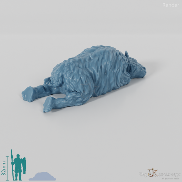 Coelodonta - Totes Wollnashornkalb