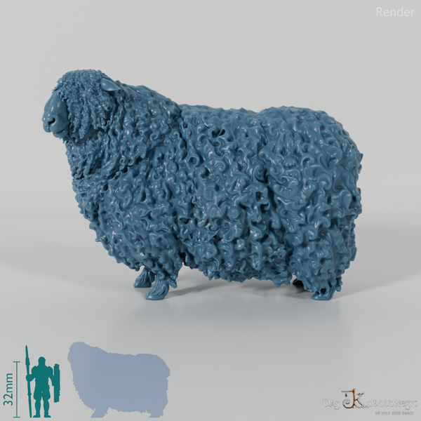 Schaf - Devon and Cornwall Longwool - Bock 02