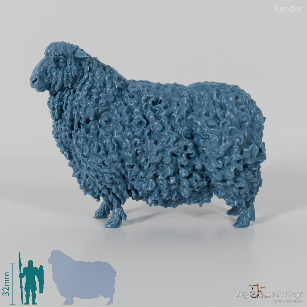 Schaf - Devon and Cornwall Longwool - Schaf 01